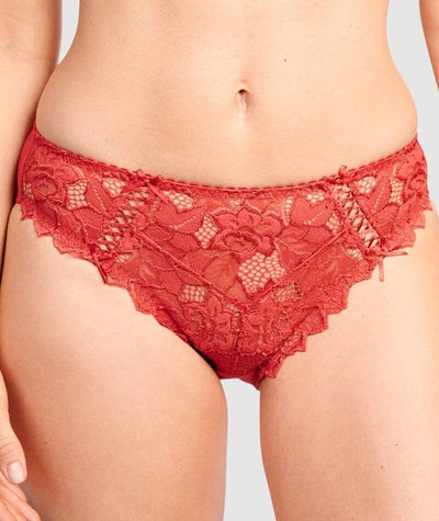Sans Complexe Arum Microfiber and Lace Hipster Brief - Jester Red Knickers