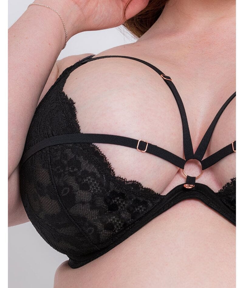 Scantilly Embrace Deep Plunge Bra - Black Bras