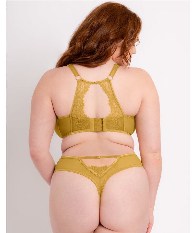 Scantilly Exposed High Waist Thong - Ochre Yellow Knickers