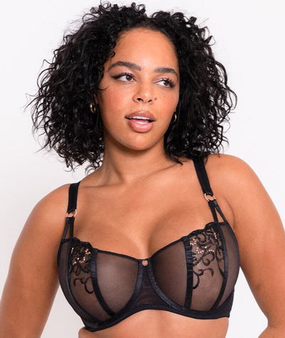 Scantilly Ornate Balcony Bra - Black Bras