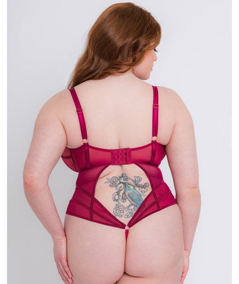 Scantilly Senses Plunge Bodysuit - Cherry Purple Bodysuits & Basques