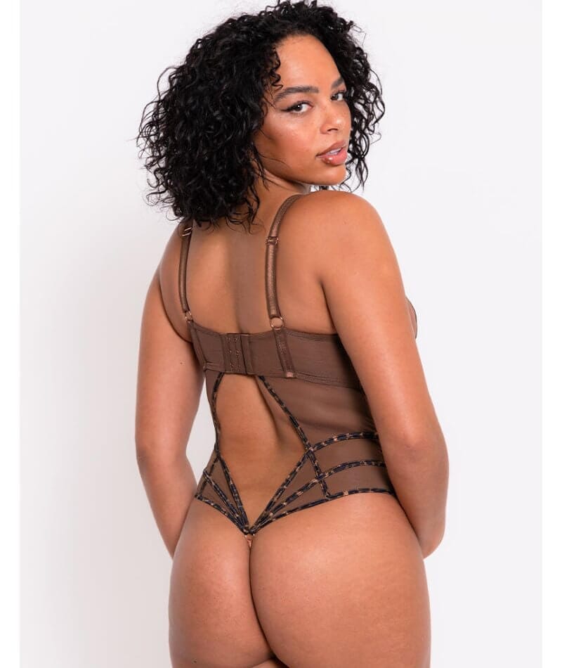 Scantilly Senses Plunge Bodysuit - Leopard Brown Bodysuits & Basques
