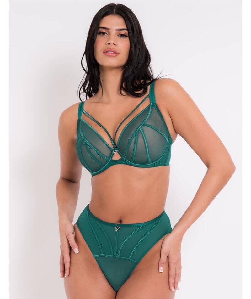 Scantilly Senses Plunge Bra - Verdigris Green Bras