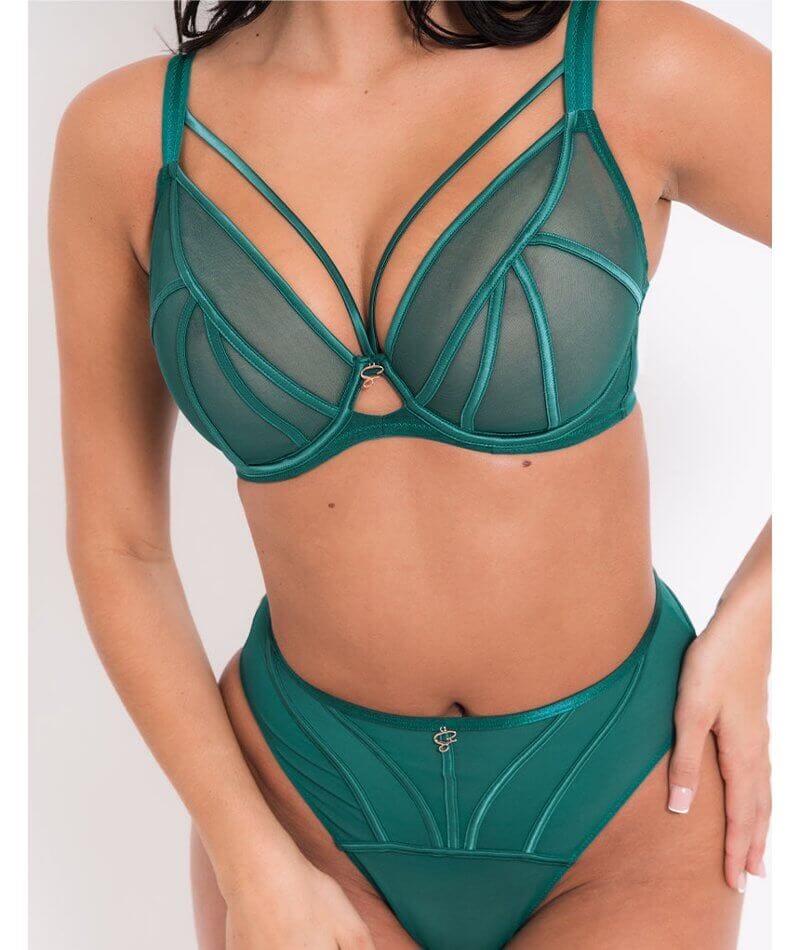 Scantilly Senses Plunge Bra - Verdigris Green Bras