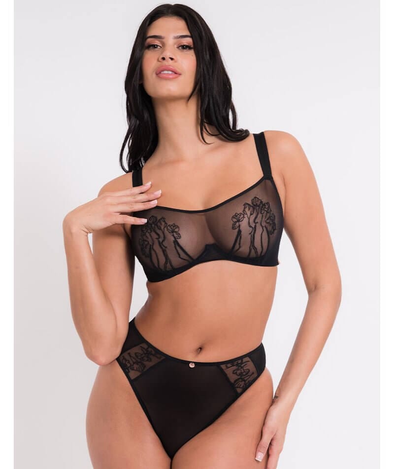 Scantilly Sheer Flora Deep Thong - Black - Curvy Bras