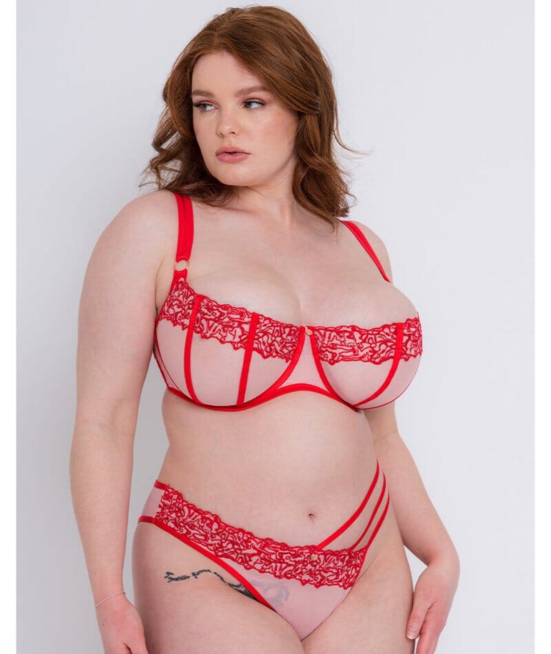 Scantilly Tantric Balcony Bra - Pink/Red - Curvy Bras