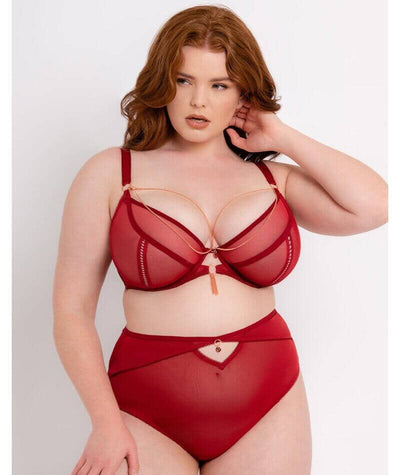 Scantilly Unchained Plunge Bra - Deep Red Bras