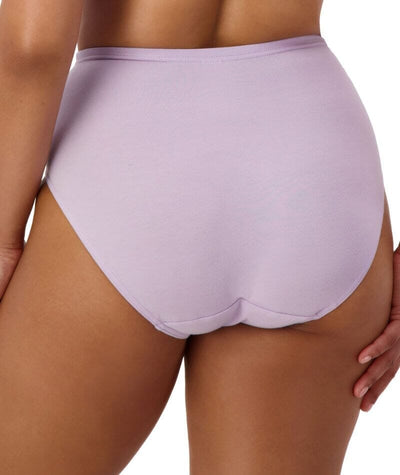 Sloggi Hikini 2 Pack Brief - Blueberry/Stardust Lilac Knickers