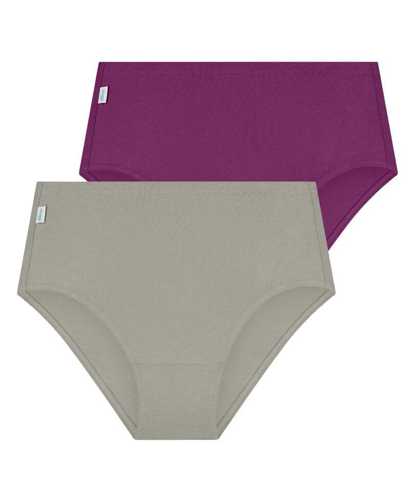 Sloggi Hikini 2 Pack Brief - Violet - Dark Combination Knickers