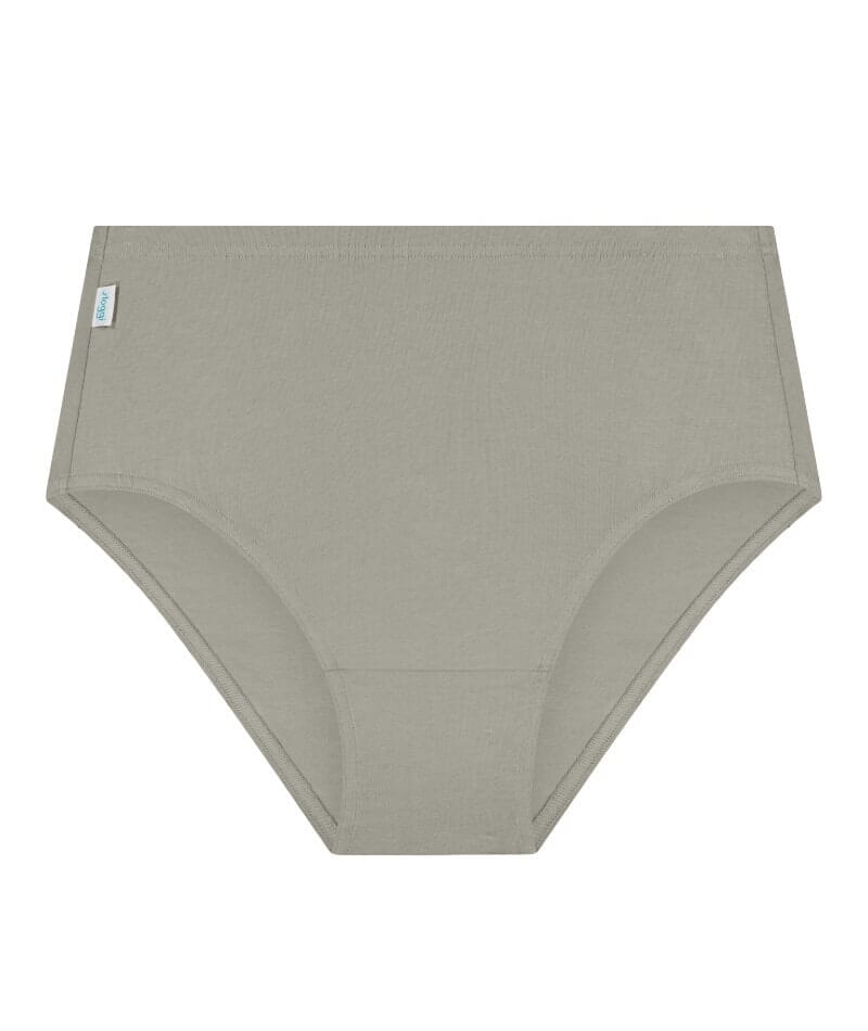 Sloggi Hikini 2 Pack Brief - Violet - Dark Combination Knickers