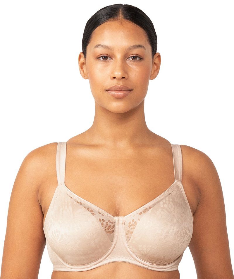 Buy Triumph Brown Lace Full Coverage Minimizer Bra for Women's